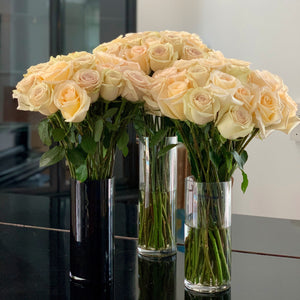 Luxury Long Stem Roses [Exclusive]