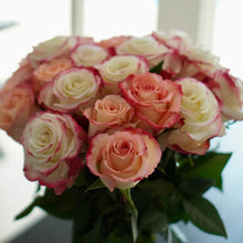 Farmer's Choice Bi-Color Pastel Long Stem Roses
