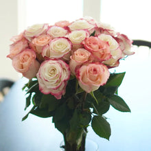 Farmer's Choice Bi-Color Pastel Long Stem Roses
