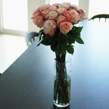 Farmer's Choice Bi-Color Pastel Long Stem Roses
