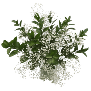 Baby's Breath & Ruscus Leaves